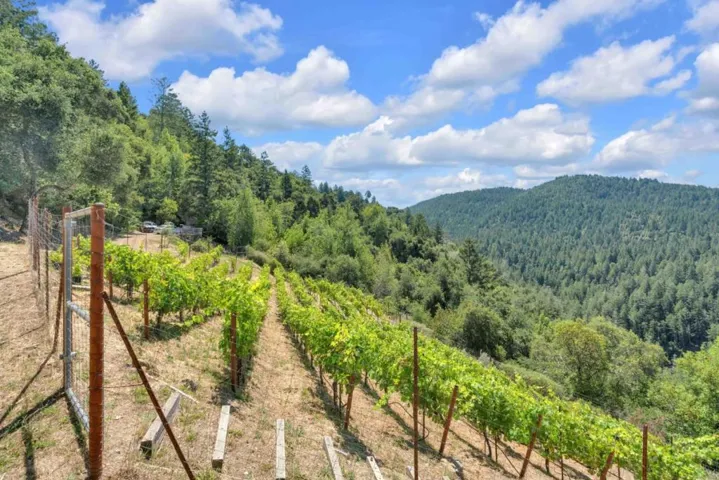 351 Canyon Vista, Los Gatos, California 95033