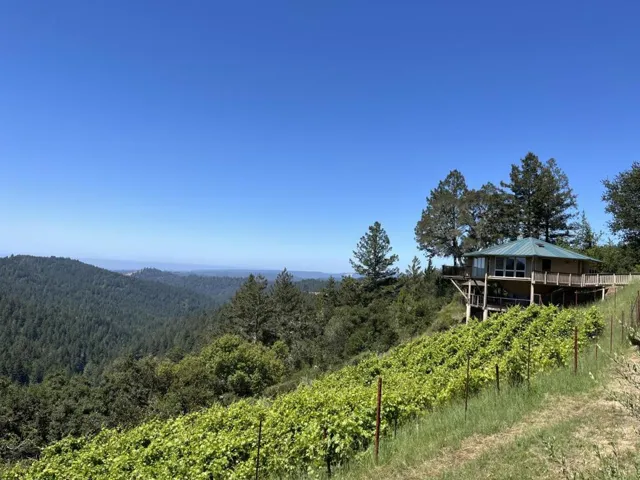 351 Canyon Vista, Los Gatos, California 95033