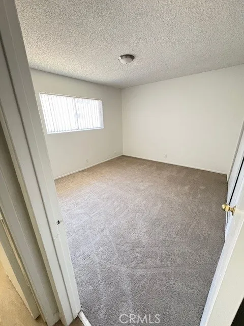 New carpet