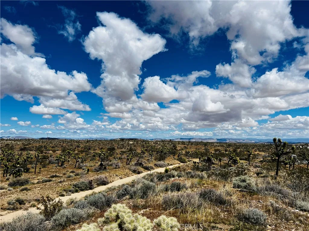 57864 Sunflower Drive, Yucca Valley, California 92284 — photo 4