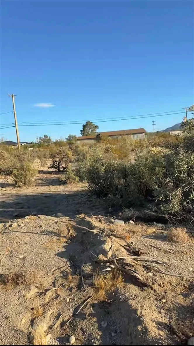 1 Baseline, 29 Palms, California 92277 — photo 4
