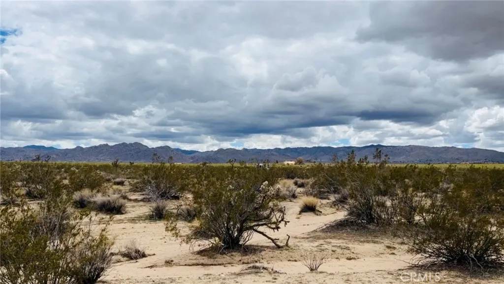 62985 Broadway Street, Joshua Tree, California 92252 — photo 4
