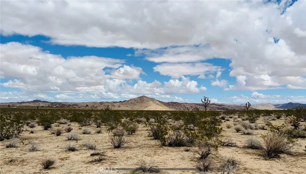 62985 Broadway Street, Joshua Tree, California 92252 — photo 5