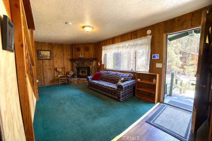 Family Room Fire Place