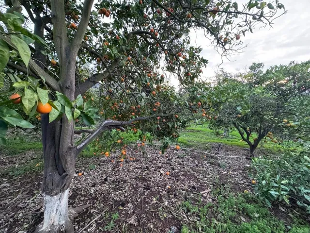 1765 Robinhood Road, Vista, California 92084