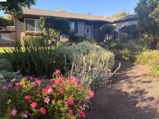 Front exterior featuring a landscaped garden with mature plantings and a gravel pathway