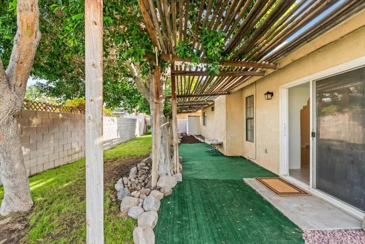 Backyard 1