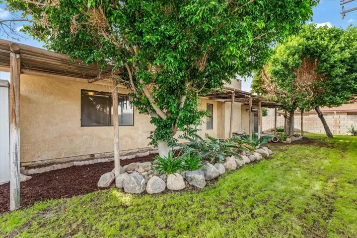 Backyard area 2