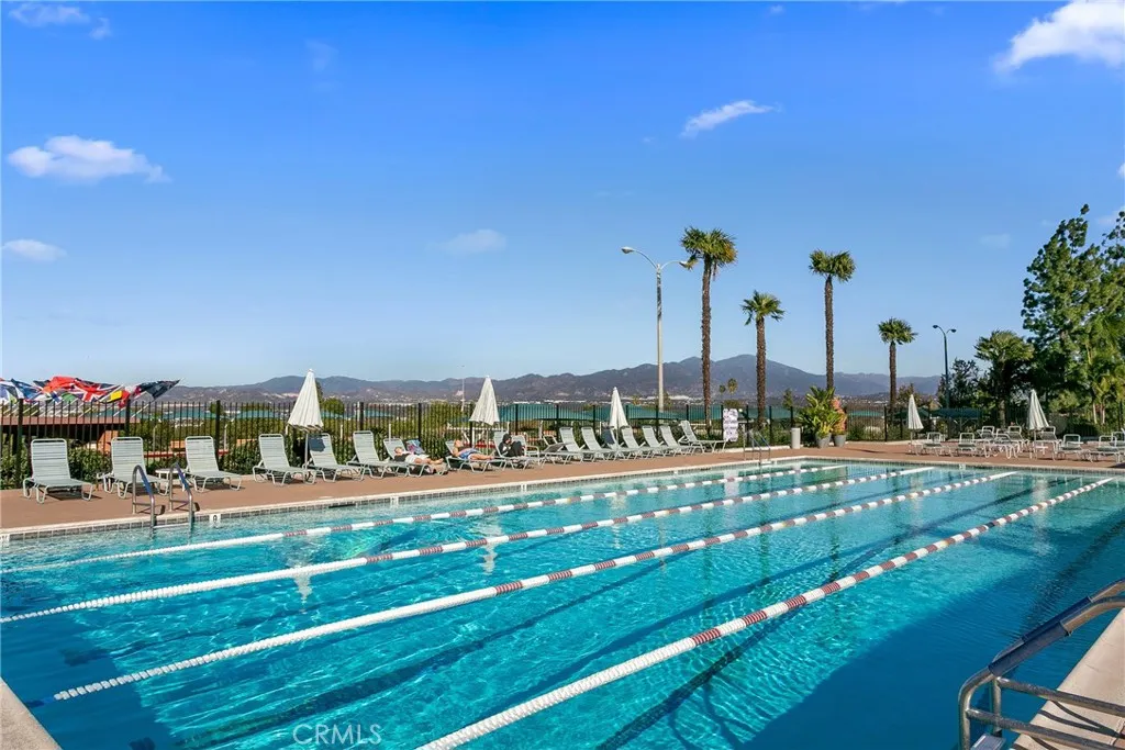 Lap pool with a view