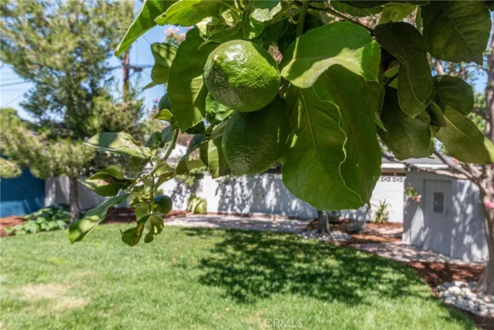 1910 N Rose, Burbank, California 91505