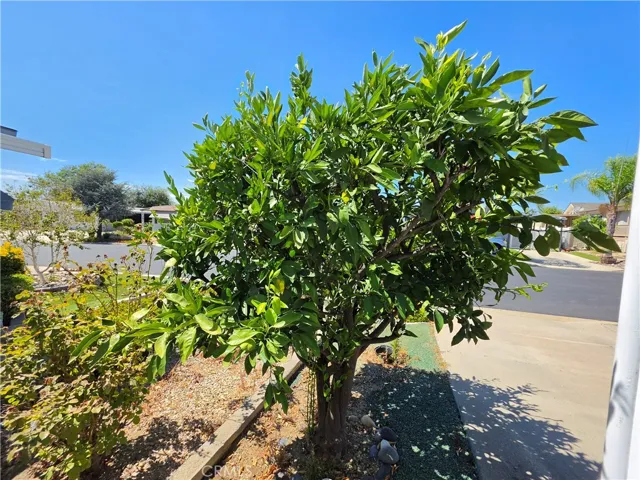 28799 Via Playa Del Rey, Murrieta, California 92563