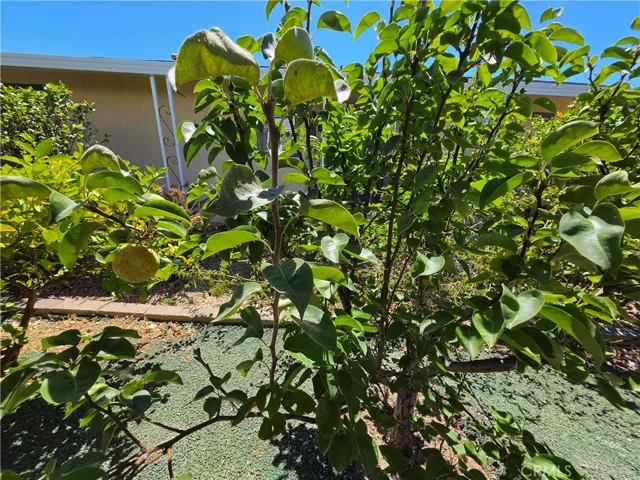 28799 Via Playa Del Rey, Murrieta, California 92563