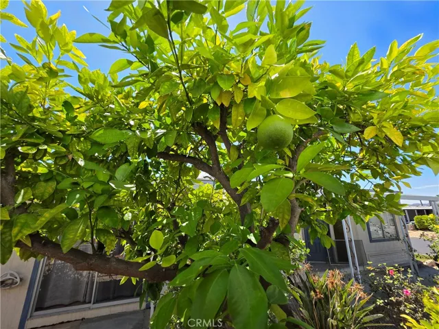 28799 Via Playa Del Rey, Murrieta, California 92563