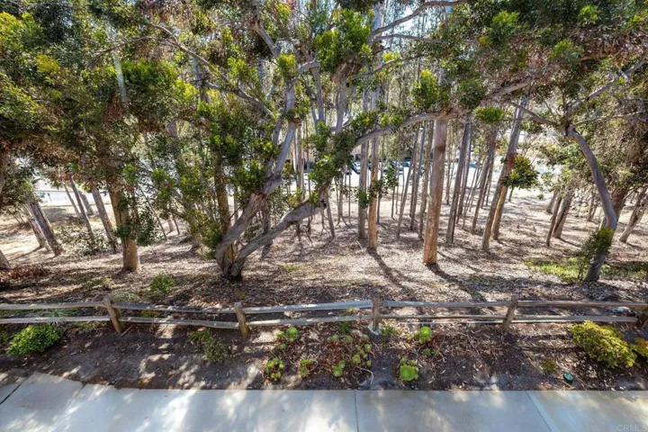 3035 Via Amador, Carlsbad, California 92010