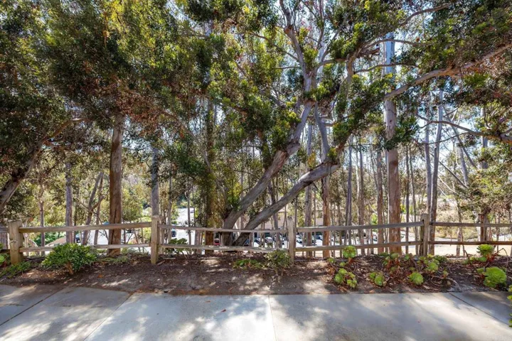 3035 Via Amador, Carlsbad, California 92010