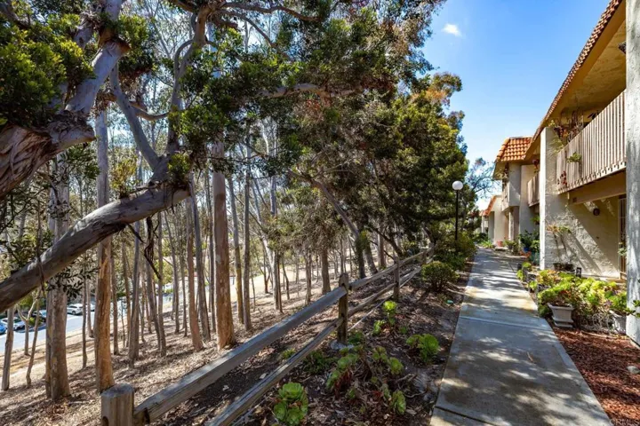 3035 Via Amador, Carlsbad, California 92010
