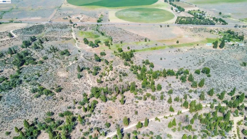 452 Us Hwy 395, Milford, California 96121