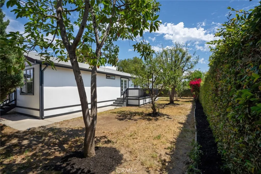 Backyard with mature fruit trees - stone fruit, persimmon, apple + avocado