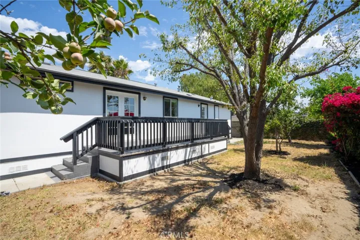 Backyard with mature fruit trees - stone fruit, persimmon, apple + avocado