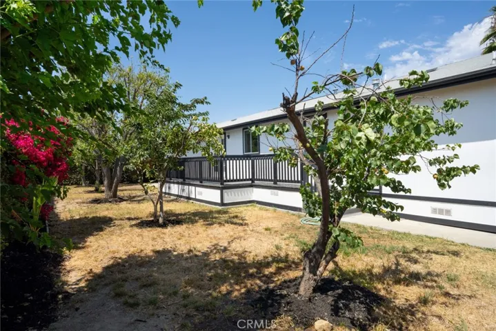 Backyard with mature fruit trees - stone fruit, persimmon, apple + avocado