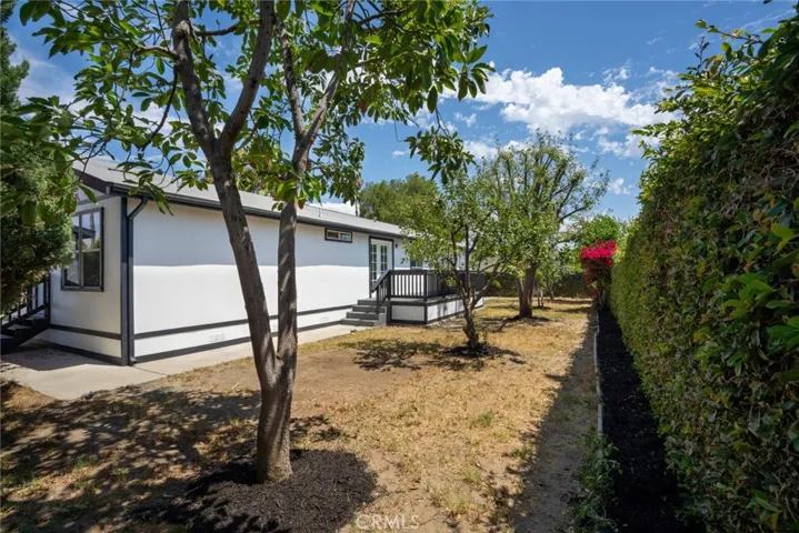 Backyard with mature fruit trees - stone fruit, persimmon, apple + avocado