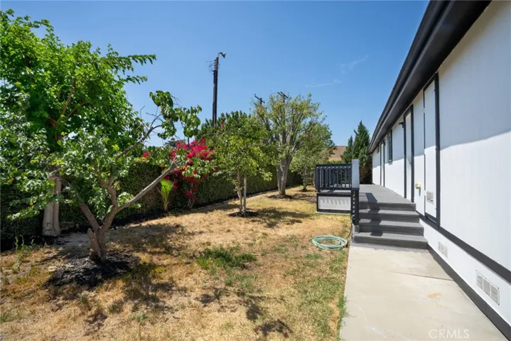 Backyard with mature fruit trees - stone fruit, persimmon, apple + avocado