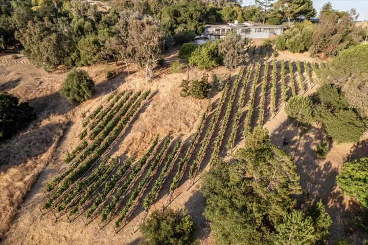 20550 Buena Monte Drive, San Jose, California 95120