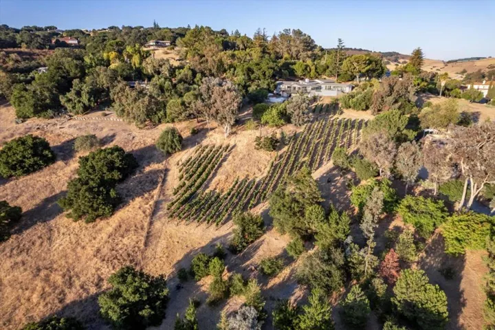 20550 Buena Monte Drive, San Jose, California 95120