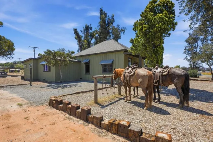 AI enhanced image with horses added