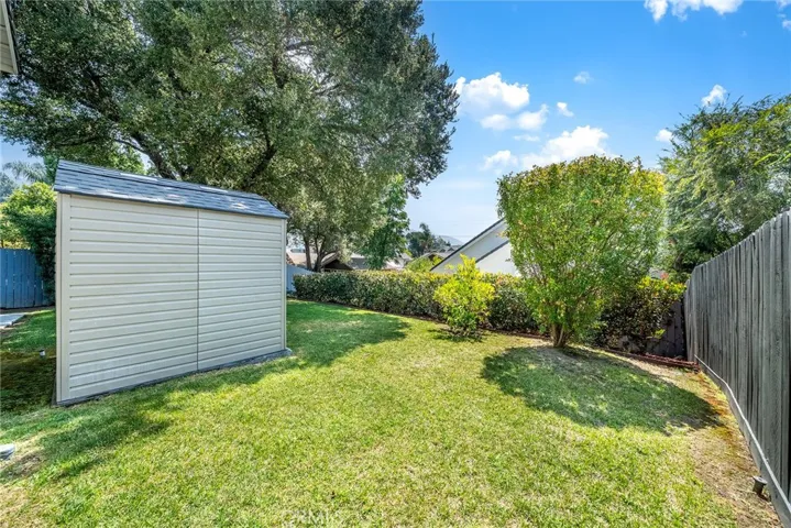 Shed in the Backyard