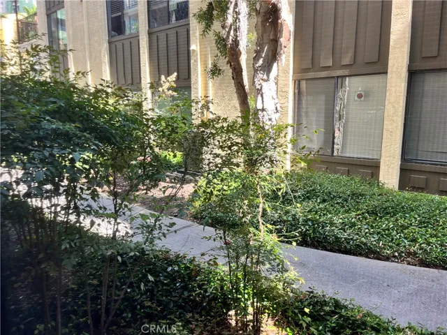 View from Bedroom