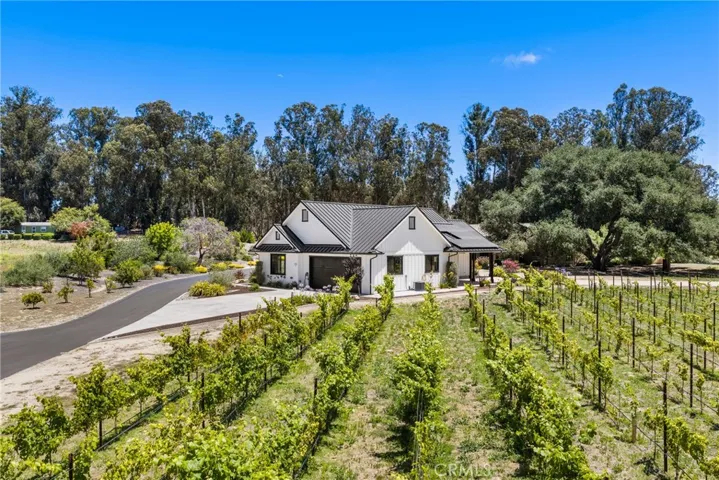 Guest House overlooking vineyard