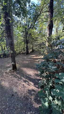 10537 Foothill Road, Loch Lomond, California 95461