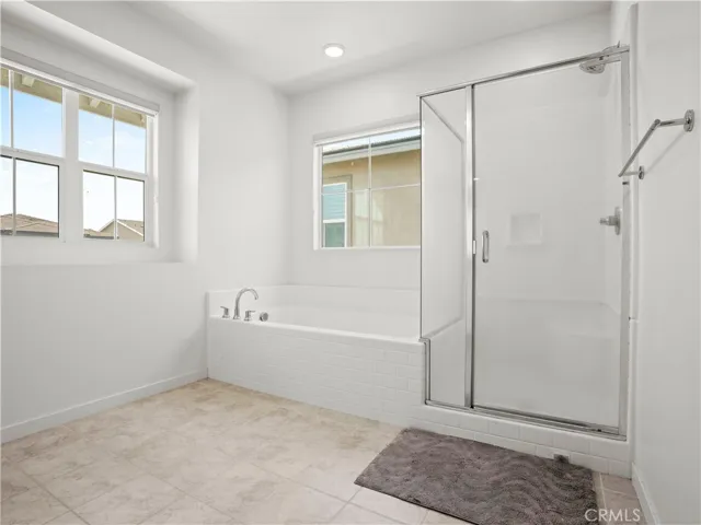 Primary Bedroom Bath and Shower
