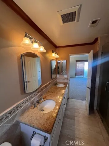 Principal bath with jacuzzi bath