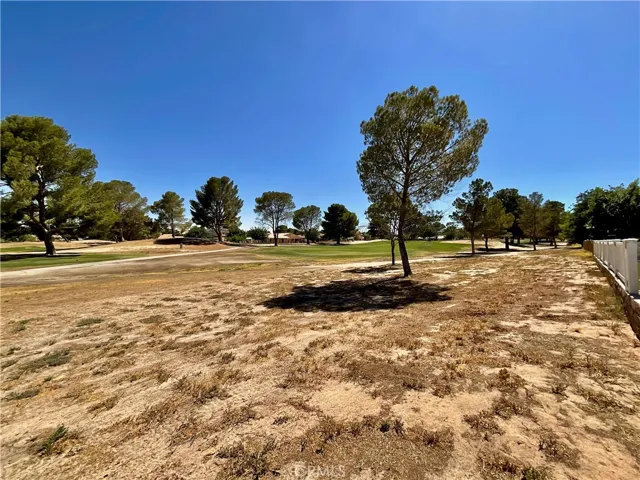 14913 Blue Grass, Helendale, California 92342