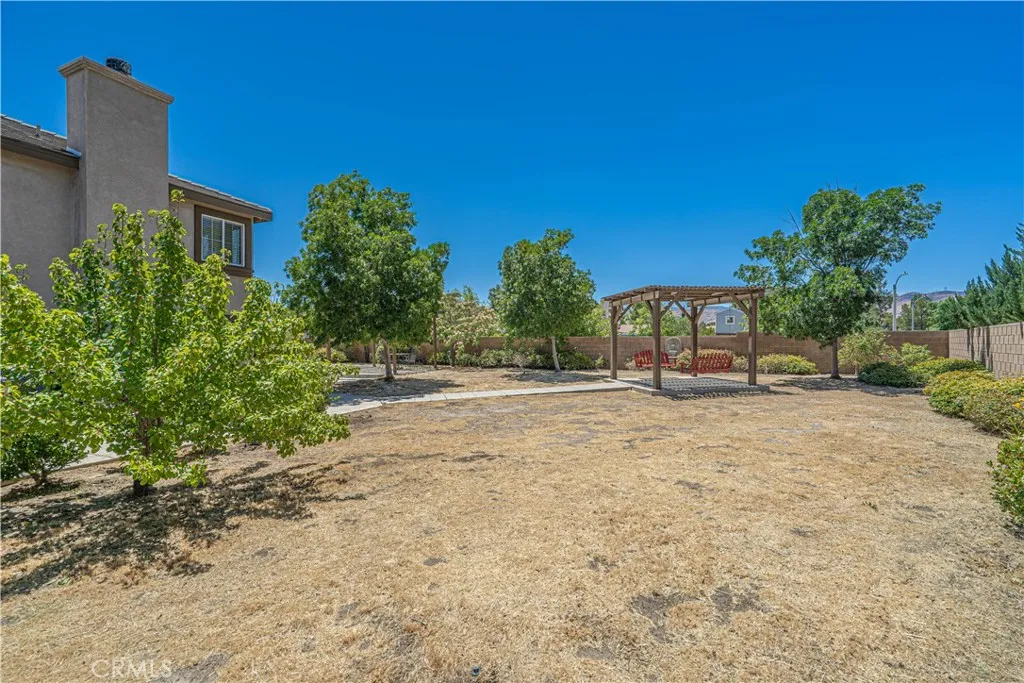 Yard - Rightside