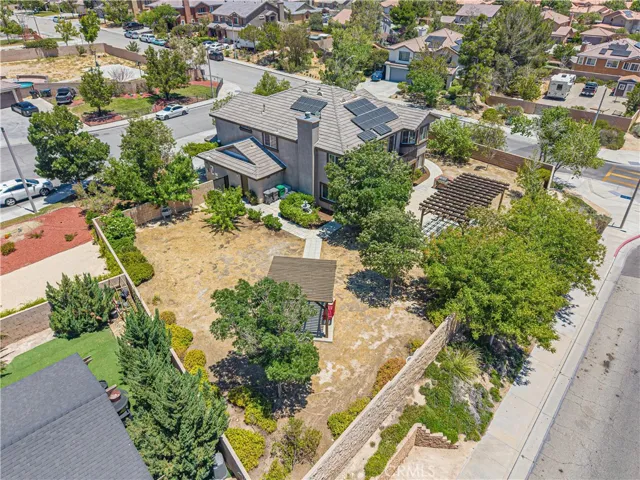 Expansive Backyard