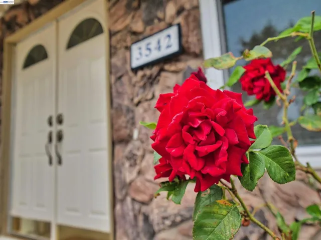 3542 Surry Pl, Fremont, California 94536