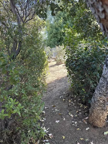 15326 Moonglow Dr, Ramona, California 92065