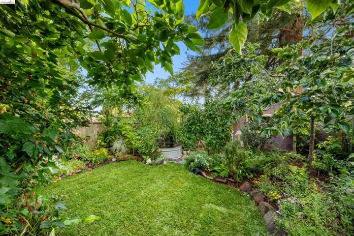 Lush backyard garden featuring a well-maintained lawn, mature trees, diverse plantings, and a galvanized planter