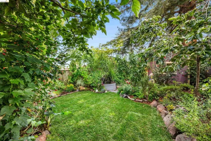 Lush green lawn surrounded by mature trees and varied foliage