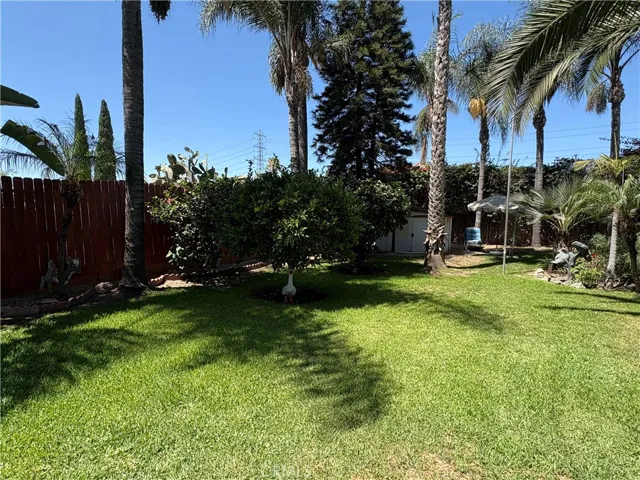 * Back Fence Area *