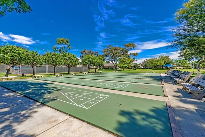 Shuffleboard