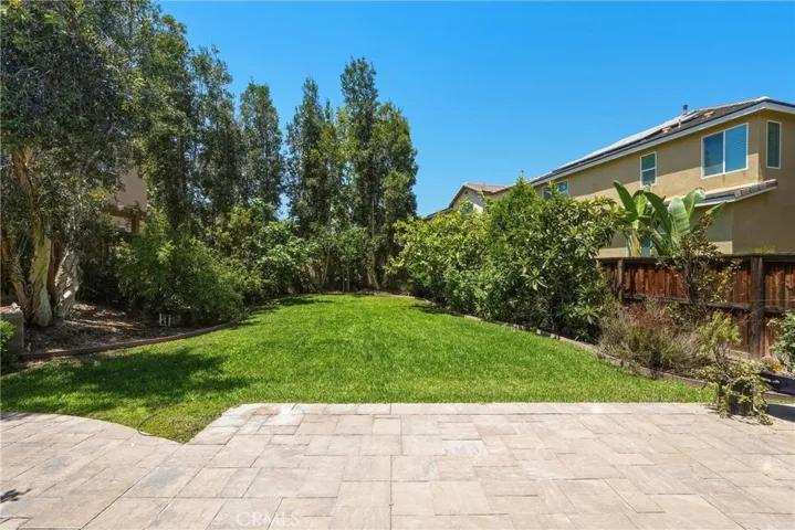Back yard