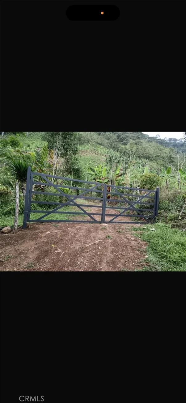 crops area