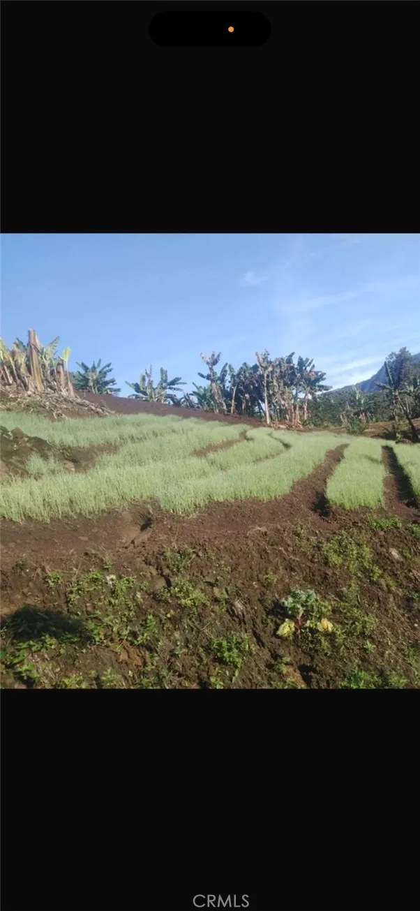 farm