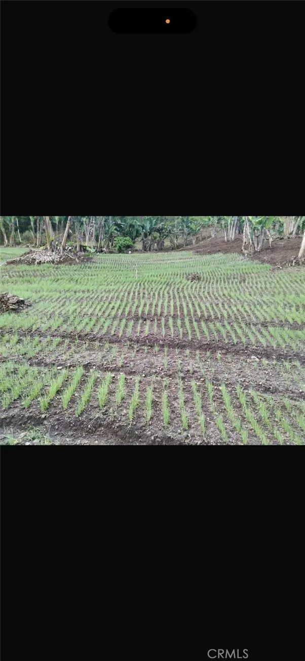 farmland