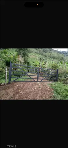 crops area