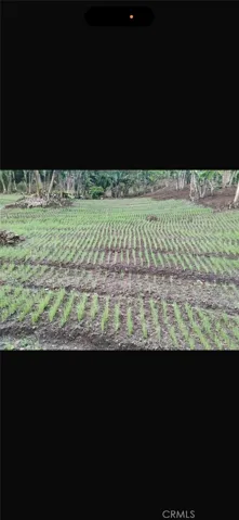 farmland